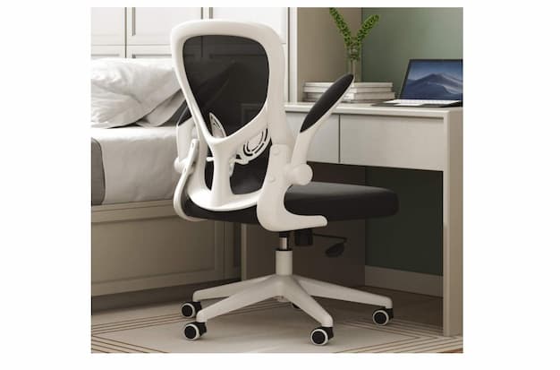 Hbada Office Task Desk Chair