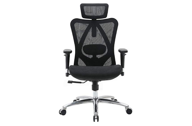 Sihoo Ergonomics Mesh Office Chair