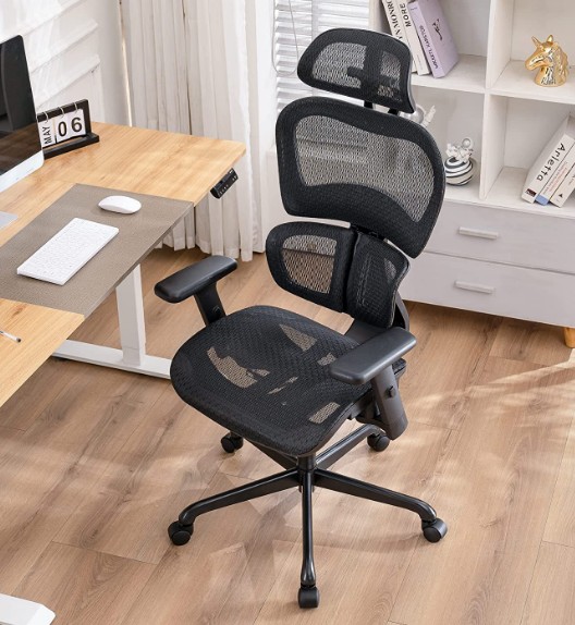 Sunnow Ergonomic Office Chair