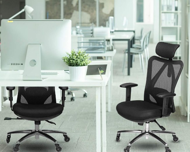 Duramont Ergonomic Office Chair