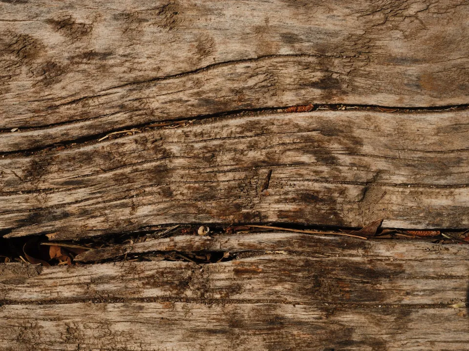 How To Repair Water-Damaged Wood Veneer Quickly?